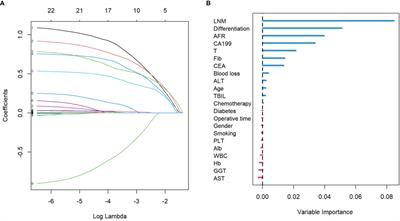 Development and validation of machine learning models for predicting prognosis and guiding individualized postoperative chemotherapy: A real-world study of distal cholangiocarcinoma